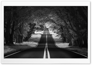 Road Landscape, Aesthetic, Black and White Ultra HD Wallpaper for 4K UHD Widescreen Desktop, Lockscreen, Screensaver, TV, Tablet, Smartphone