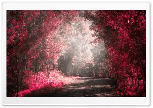 Road Nature Love Ultra HD Wallpaper for 4K UHD Widescreen desktop, tablet & smartphone
