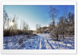 Road On Field Bushes Ultra HD Wallpaper for 4K UHD Widescreen Desktop, Lockscreen, Screensaver, TV, Tablet, Smartphone