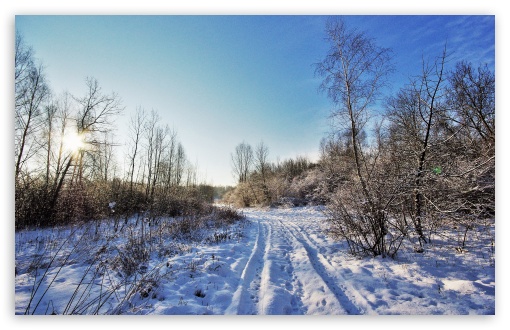 Road On Field Bushes UltraHD Wallpaper for HD 16:9 ; Widescreen 16:10 5:3 ;