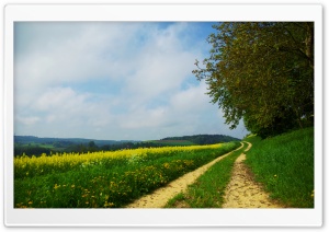 Road On The Hills Summer Ultra HD Wallpaper for 4K UHD Widescreen desktop, tablet & smartphone