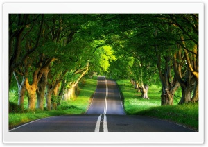 Road, Summer Ultra HD Wallpaper for 4K UHD Widescreen desktop, tablet & smartphone