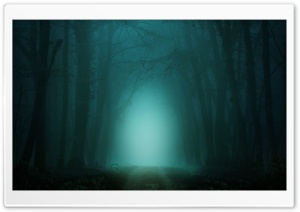Road through Forest, Fog, Night Ultra HD Wallpaper for 4K UHD Widescreen desktop, tablet & smartphone