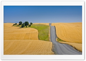 Road through Wheat Field 4K UHD Wallpaper for Widescreen and UltraWide Desktop, UltraHD TV, Smartphone, Tablet