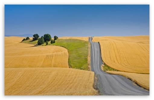 Road through Wheat Field UltraHD Wallpaper for UHD 16:9 ; HD 16:9 ; UltraWide 21:9 24:10 32:9 32:10 ; Widescreen 16:10 ; Tablet 1:1 ; Mobile 9:16 9:19.5 9:20 9:21 9:22 ; Dual 16:10 16:9 ;