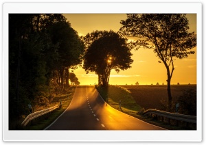 Road, Yellow Sunlight Ultra HD Wallpaper for 4K UHD Widescreen desktop, tablet & smartphone