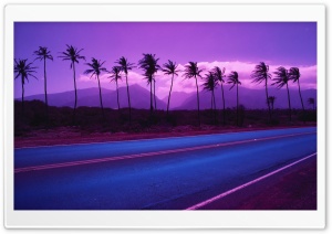 Roadside Trees Ultra HD Wallpaper for 4K UHD Widescreen desktop, tablet & smartphone