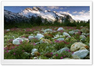 Rock Garden Alsek River British Columbia Ultra HD Wallpaper for 4K UHD Widescreen desktop, tablet & smartphone