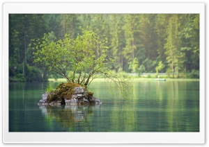 Rock Island, Forest Lake Ultra HD Wallpaper for 4K UHD Widescreen desktop, tablet & smartphone