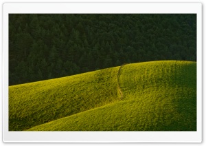Rolling Green Hills Ultra HD Wallpaper for 4K UHD Widescreen desktop, tablet & smartphone