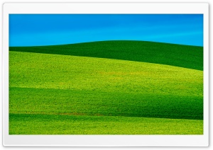 Rolling Hills of Whitman County 4K UHD Wallpaper for Widescreen and UltraWide Desktop, UltraHD TV, Smartphone, Tablet