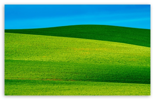 Rolling Hills of Whitman County UltraHD Wallpaper for UHD 16:9 ; HD 16:9 ; UltraWide 21:9 24:10 32:9 32:10 ; Widescreen 16:10 5:3 ; Fullscreen 4:3 5:4 3:2 ; Tablet 1:1 ; Mobile 9:16 9:19.5 9:20 9:21 9:22 10:16 2:3 3:5 3:4 ; Dual 16:10 5:3 16:9 4:3 5:4 3:2 ; Triple 16:10 5:3 16:9 4:3 5:4 3:2 ;