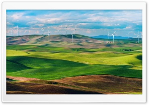Rolling Hills, Washington, USA Ultra HD Wallpaper for 4K UHD Widescreen desktop, tablet & smartphone