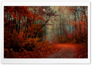 Romantic Autumn Ultra HD Wallpaper for 4K UHD Widescreen desktop, tablet & smartphone