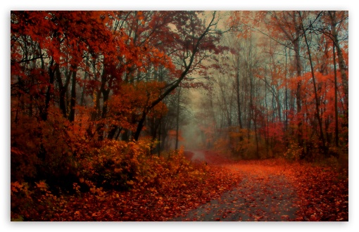 Romantic Autumn Ultra HD Desktop Background Wallpaper for 4K UHD TV ...