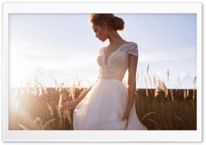 Romantic Bride, Outdoor Photography Ultra HD Wallpaper for 4K UHD Widescreen desktop, tablet & smartphone