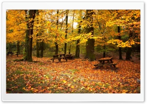 Romantic Fall Ultra HD Wallpaper for 4K UHD Widescreen desktop, tablet & smartphone