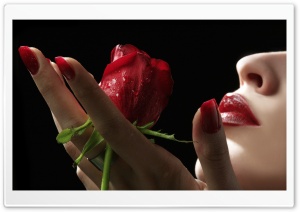 Rose & Lips Ultra HD Wallpaper for 4K UHD Widescreen desktop, tablet & smartphone
