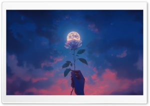 Rose, Full Moon, Artwork, Sky, Artistic 4K UHD Wallpaper for Widescreen and UltraWide Desktop, UltraHD TV, Smartphone, Tablet