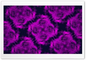 Rose of Wind Ultra HD Wallpaper for 4K UHD Widescreen desktop, tablet & smartphone
