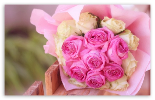 Roses UltraHD Wallpaper for Widescreen 16:10 ;