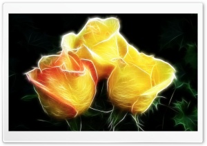 Roses Effect Ultra HD Wallpaper for 4K UHD Widescreen desktop, tablet & smartphone