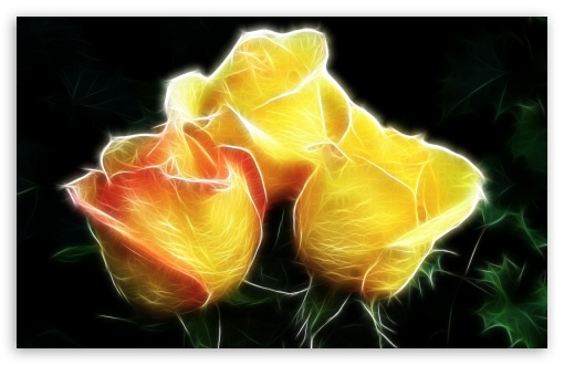 Roses Effect UltraHD Wallpaper for Widescreen 16:10 ;