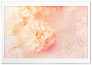 Roses Magic 3 4K UHD Wallpaper for Widescreen and UltraWide Desktop, UltraHD TV, Smartphone, Tablet