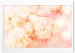 Roses Magic 4 Ultra HD Wallpaper for 4K UHD Widescreen desktop, tablet & smartphone