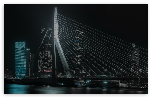 Rotterdam, Netherlands UltraHD Wallpaper for UHD 16:9 2160p 1440p 1080p 900p 720p ; 8K UHD TV 16:9 Ultra High Definition 2160p 1440p 1080p 900p 720p ; Widescreen 16:10 5:3 WHXGA WQXGA WUXGA WXGA WGA ; Fullscreen 4:3 5:4 3:2 UXGA XGA SVGA QSXGA SXGA DVGA HVGA HQVGA ( Apple PowerBook G4 iPhone 4 3G 3GS iPod Touch ) ; Tablet 1:1 ; Mobile 9:16 2:3 3:5 3:4 - ;