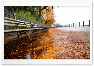 Row of Benches, Autumn Ultra HD Wallpaper for 4K UHD Widescreen desktop, tablet & smartphone
