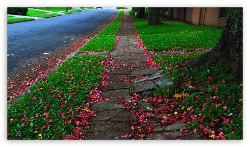 Rua das Flores UltraHD Wallpaper for HD 16:9 ;