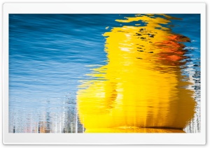Rubber Duck Reflection Ultra HD Wallpaper for 4K UHD Widescreen desktop, tablet & smartphone