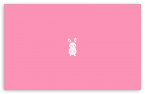 rabbit wallpaper for desktop