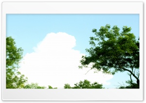 Rural Skies Ultra HD Wallpaper for 4K UHD Widescreen desktop, tablet & smartphone
