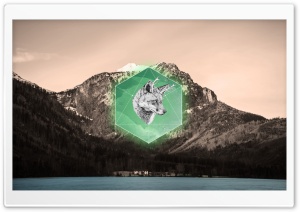 Sacred Geometry Fox Ultra HD Wallpaper for 4K UHD Widescreen desktop, tablet & smartphone