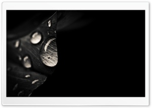 Sadness Ultra HD Wallpaper for 4K UHD Widescreen desktop, tablet & smartphone