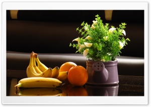 Saeed Ultra HD Wallpaper for 4K UHD Widescreen desktop, tablet & smartphone