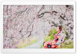 Sakura girl Red Kimono Ultra HD Wallpaper for 4K UHD Widescreen desktop, tablet & smartphone