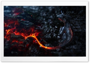 Salamander Artwork Ultra HD Wallpaper for 4K UHD Widescreen desktop, tablet & smartphone