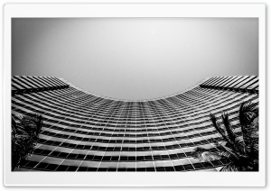 San Diego Marriott Marquis and Marina Black and White Ultra HD Wallpaper for 4K UHD Widescreen desktop, tablet & smartphone