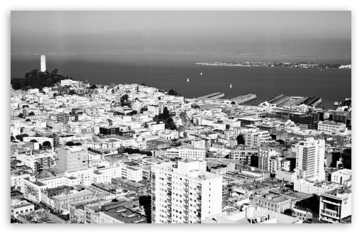 San Francisco Black And White UltraHD Wallpaper for UHD 16:9 ; HD 16:9 ; UltraWide 32:9 32:10 ; Widescreen 16:10 5:3 ; Fullscreen 4:3 5:4 3:2 ; Tablet 1:1 ; Mobile 3:5 3:4 ; Dual 16:10 5:3 16:9 4:3 5:4 ;