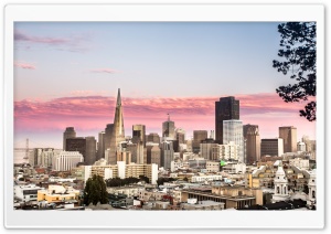 San Francisco City FiDi Ultra HD Wallpaper for 4K UHD Widescreen desktop, tablet & smartphone