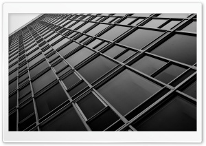 San Francisco Skyscrapers Bw Ultra HD Wallpaper for 4K UHD Widescreen desktop, tablet & smartphone