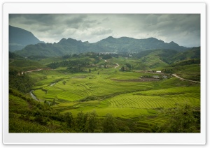 Sapa Rice Paddies Ultra HD Wallpaper for 4K UHD Widescreen desktop, tablet & smartphone