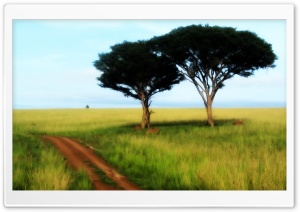Savanna Trees Ultra HD Wallpaper for 4K UHD Widescreen desktop, tablet & smartphone