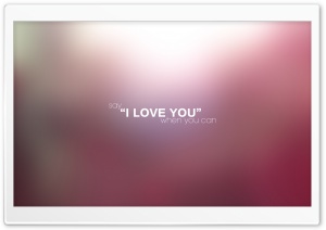 Say I LOVE YOU When You Can Ultra HD Wallpaper for 4K UHD Widescreen desktop, tablet & smartphone