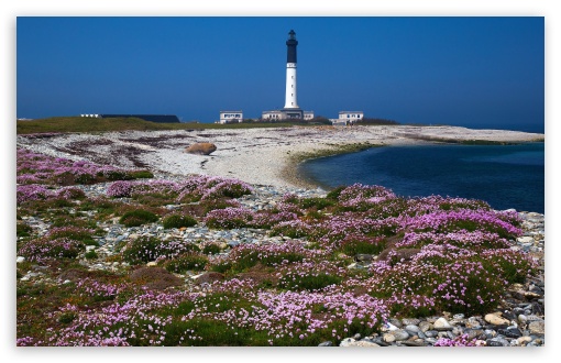 Scenic Lighthouse Beach Nature UltraHD Wallpaper for UHD 16:9 ; HD 16:9 ; UltraWide 21:9 24:10 32:9 32:10 ; Widescreen 16:10 5:3 ; Fullscreen 4:3 5:4 3:2 ; Tablet 1:1 ; Mobile 9:16 9:19.5 9:20 10:16 2:3 3:5 3:4 ; Dual 16:10 5:3 16:9 4:3 5:4 3:2 ;