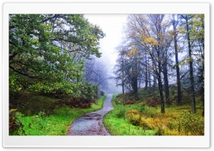 Scotland Galloway Forest Park Ultra HD Wallpaper for 4K UHD Widescreen desktop, tablet & smartphone