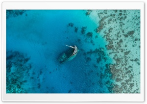 Scuba Diver, Shipwreck Ultra HD Wallpaper for 4K UHD Widescreen desktop, tablet & smartphone